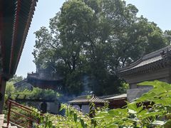 -红螺寺