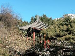 -丰台花园