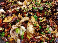 黑鱼花-三猫黑鱼花(南大店)