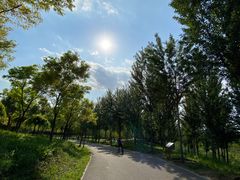-东郊湿地公园