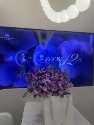 -普洛蒂亚·科技美肤中心