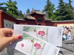-洛阳白马寺