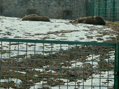 -西安秦岭野生动物园