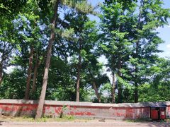 -阳台山自然风景区