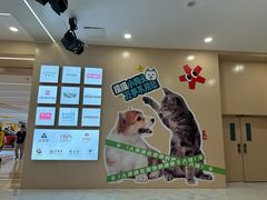 -凯德MALL(望京店)