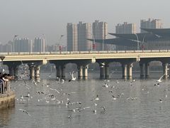 -蠡湖大桥公园