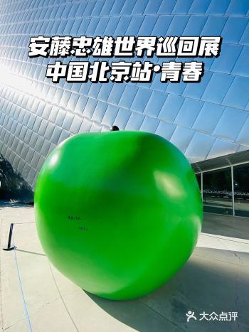 安藤忠雄世界巡回展中国北京站