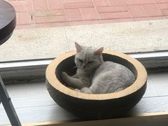 -青春加萌照相馆