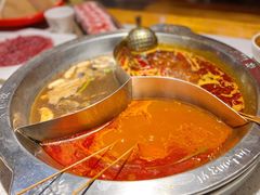 奔驰锅-大龙燚火锅(天钥桥路店)