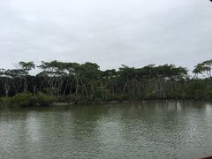 -东寨港红树林旅游区