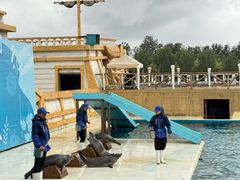 -秦皇岛乐岛海洋王国