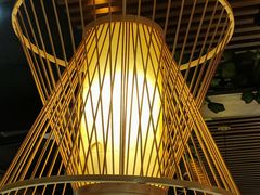 -探窝·竹笙椰子鸡(杨箕店)