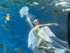 -海合安武汉极地海洋公园
