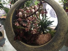 -金科花卉市场