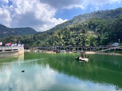 -沂蒙山旅游区云蒙景区(蒙山国家森林公园)