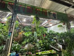 -朝来春花卉市场