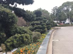 -花溪公园