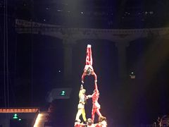 -灵玲国际马戏城