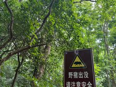 -紫金山山顶公园