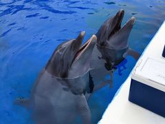 -北戴河圣蓝海洋公园