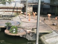 -赭山公园