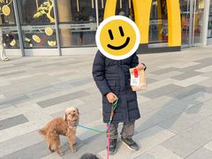 -麦当劳(北苑秋实路店)