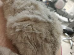 -嘉馨宠物医院·CT影像转诊·心脏科·犬猫全科诊疗中心(下沙大学城院区)