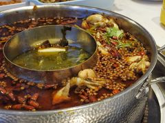 -蛙两只美蛙鱼头火锅(恒茂店)