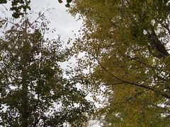 -东钱湖旅游度假区