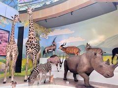 -陕西自然博物馆