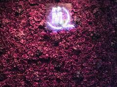 -蜀香坊(CBD旗舰店)
