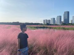 -尚贤河湿地