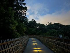 -福道