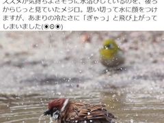 -厦门悦华酒店
