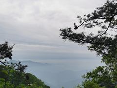 -王顺山国家森林公园