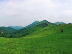 -大姆山草场