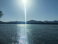 -西湖外事游船(花港观鱼码头)