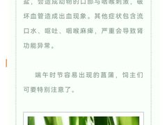 -瑞派申生动物医院·24H夜诊·国际动物医疗中心·骨外科(吴中路店)