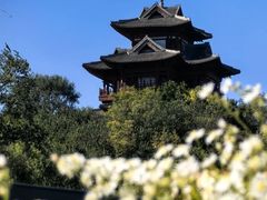 -永定河休闲森林公园