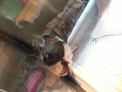 -宠物世家(仲盛世界商城店)