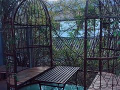 -喵屿·大理花园猫咖