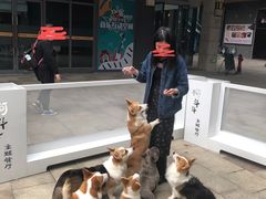 -柯斗斗主题餐厅·狗咖·围炉煮茶·茶饮(国瑞升平里店)