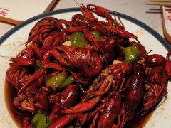 -杨氏青龙虾·羊蝎子(托乐嘉店)