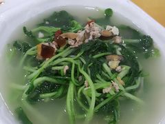 -姚林轩
