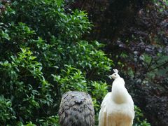 -黔灵山公园
