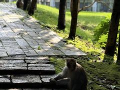 -苏州环秀晓筑养生度假村