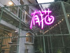-有猫主题·治愈系猫咖(曾厝垵店)