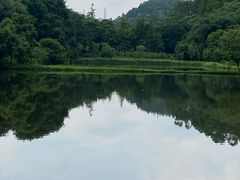 -番禺大夫山森林公园