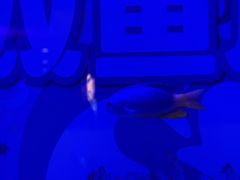 -野生动物园-停车场