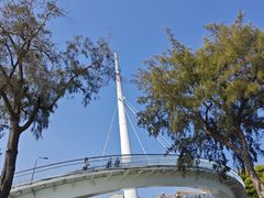 -白城沙滩
